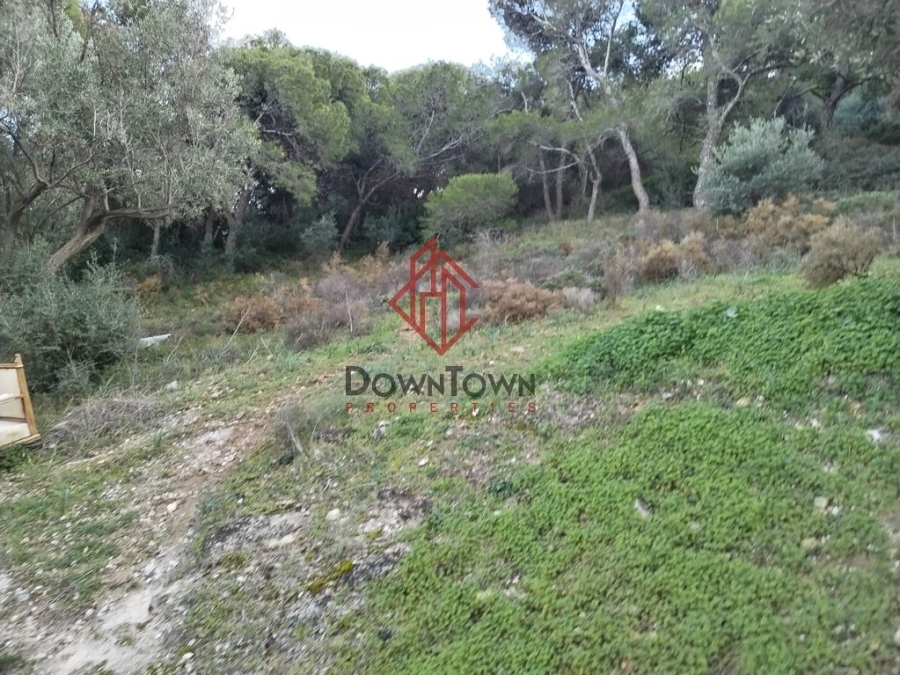 (Προς Πώληση) Αξιοποιήσιμη Γη Οικόπεδο || Ανατολική Αττική/Αρτέμιδα (Λούτσα) - 455 τ.μ, 80.000€ 
