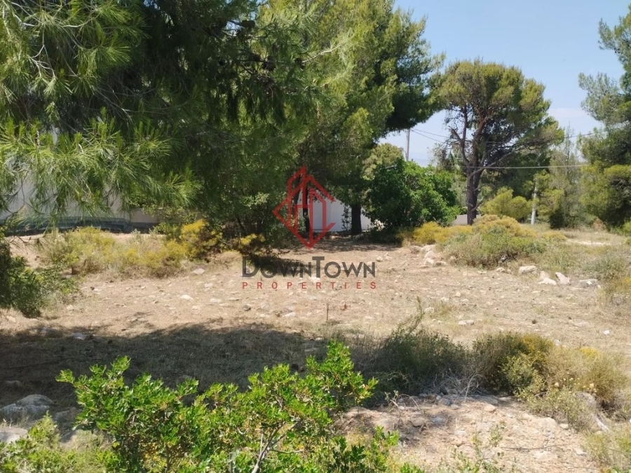 (Προς Πώληση) Αξιοποιήσιμη Γη Οικόπεδο || Αθήνα Βόρεια/Χαλάνδρι - 560 τ.μ, 620.000€ 