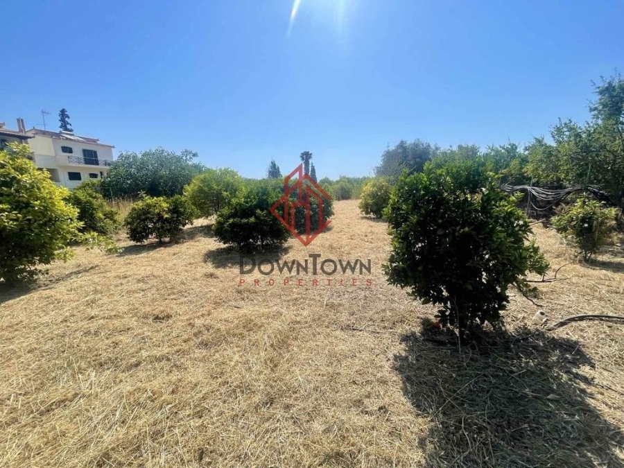 (Προς Πώληση) Αξιοποιήσιμη Γη Οικόπεδο || Πειραιάς/Τροιζηνία - 1.556 τ.μ, 180.000€ 