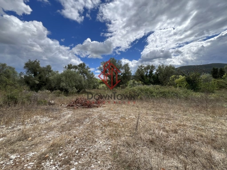 (Προς Πώληση) Αξιοποιήσιμη Γη Αγροτεμάχιο || Ν. Λευκάδας/Απολλώνιο - 6.500 τ.μ, 180.000€ 