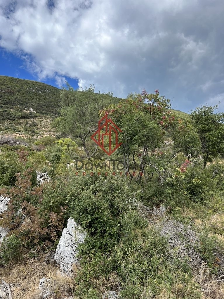 (Προς Πώληση) Αξιοποιήσιμη Γη Αγροτεμάχιο || Ν. Λευκάδας/Απολλώνιο - 30.000 τ.μ, 150.000€ 