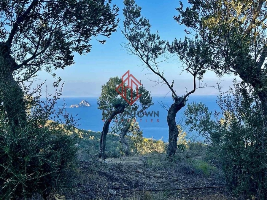 (Προς Πώληση) Αξιοποιήσιμη Γη Αγροτεμάχιο || Πειραιάς/Τροιζηνία - 68.128,59 τ.μ, 480.000€ 