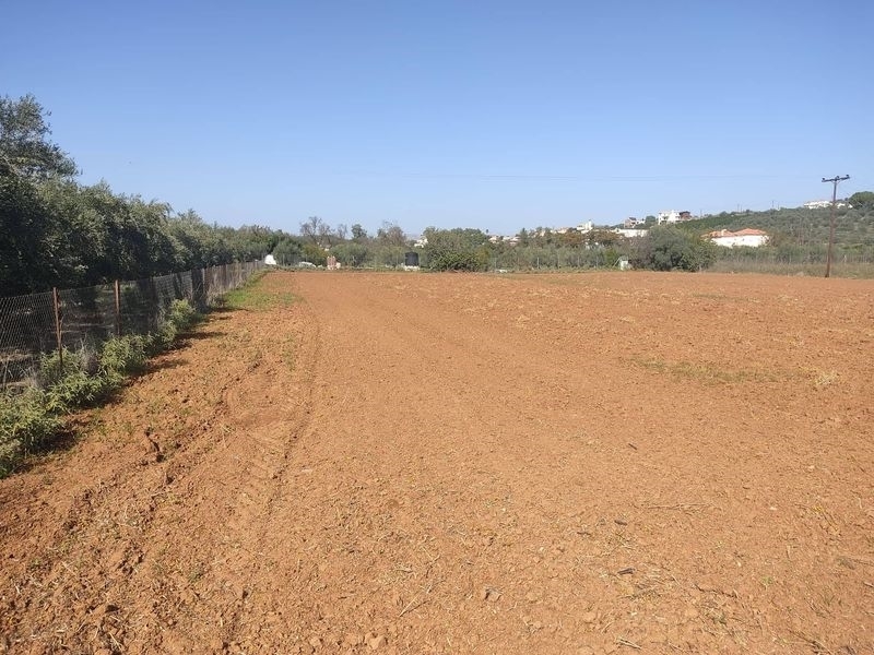 (Προς Πώληση) Αξιοποιήσιμη Γη Οικόπεδο || Ν. Αργολίδας/Ναύπλιο - 4.000 τ.μ, 70.000€ 
