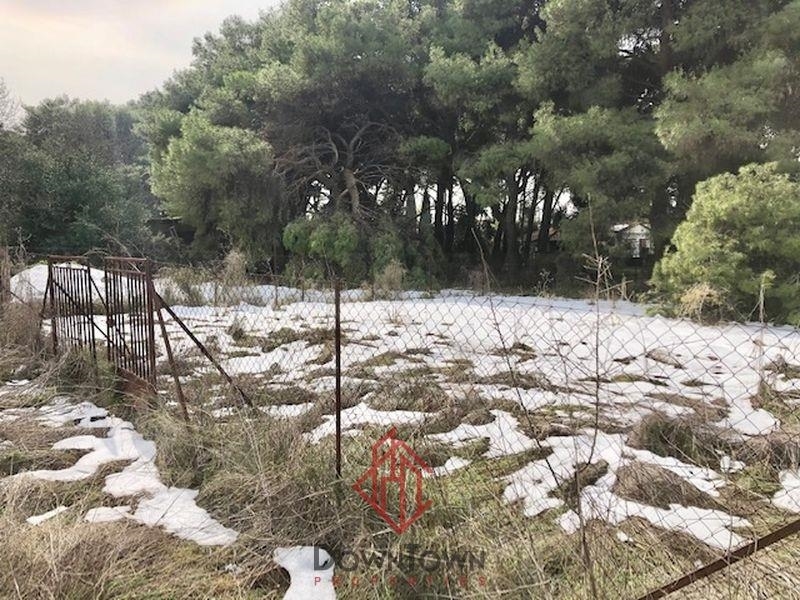 (Προς Πώληση) Αξιοποιήσιμη Γη Οικόπεδο || Αθήνα Βόρεια/Κηφισιά - 280 τ.μ, 50.000€ 